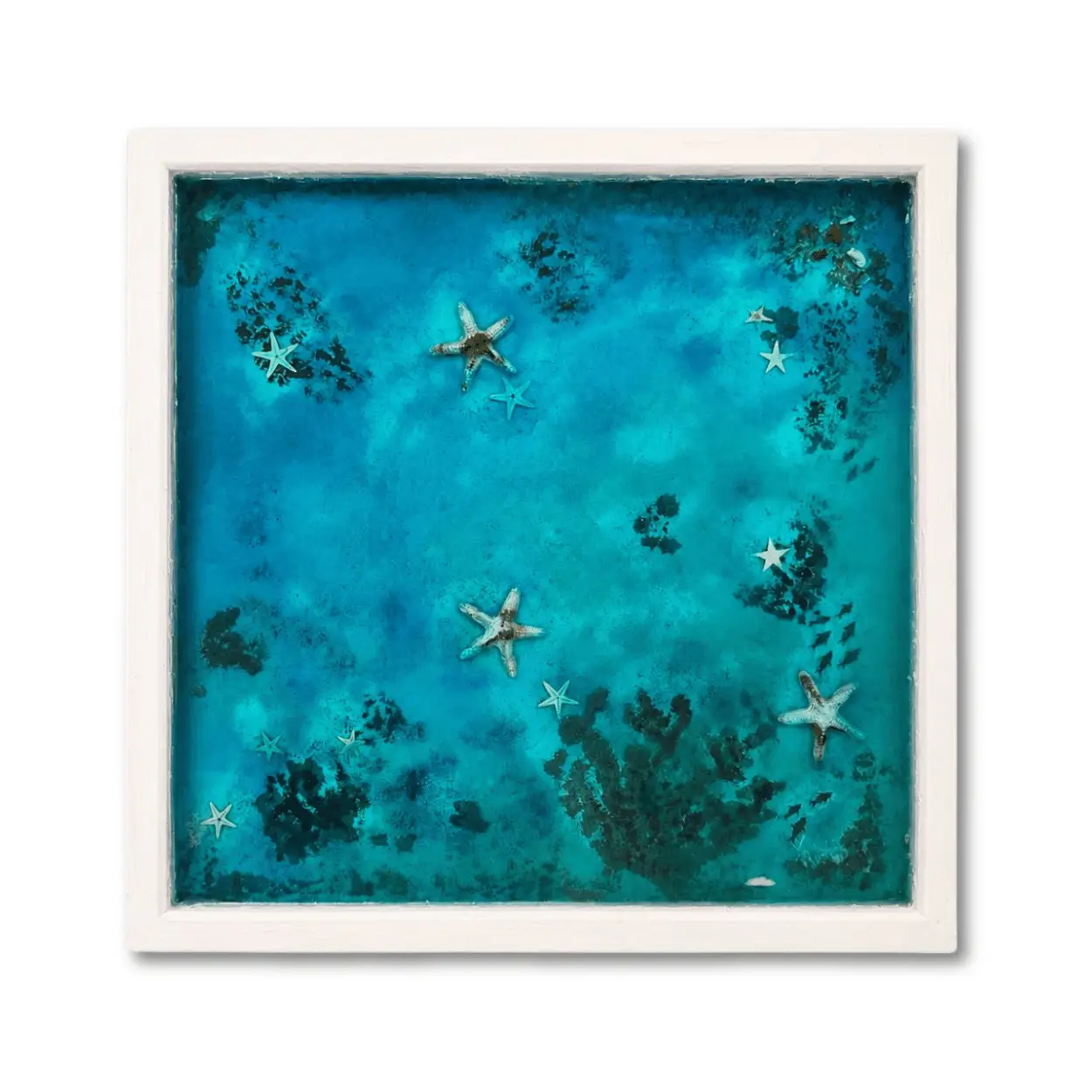 Fondo del Caribe